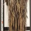 Flash Sale Hackle 703 - Yard Bird Saddle - Speckled Badger (size 16-18) -fishing Sales 2023 20230331 703