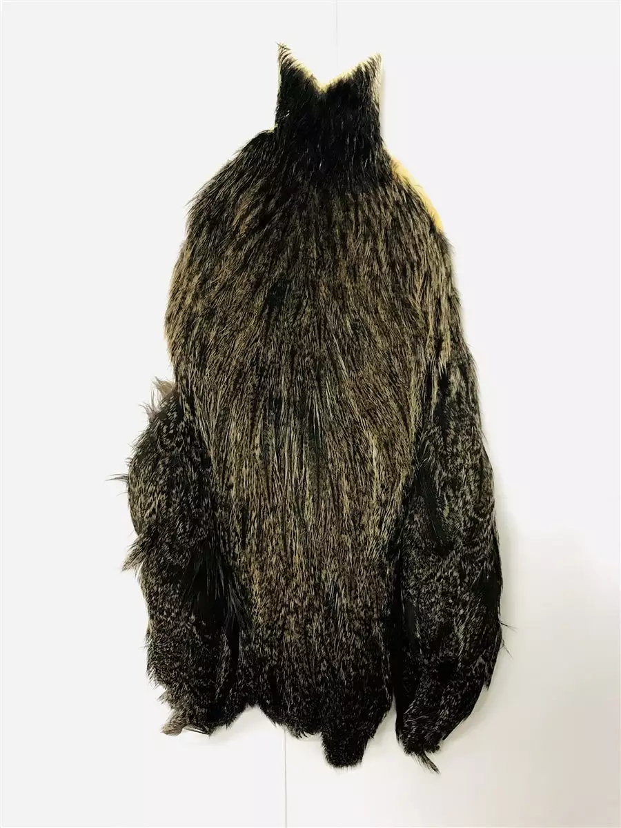 Whiting Coq De Leon Hen Cape 3 Whiting Coq De Leon Hen Cape