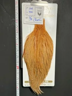 Flash Sale Hackle 104 - Heritage Cape Pro - Barred Dark Ginger (sizes 8-22)