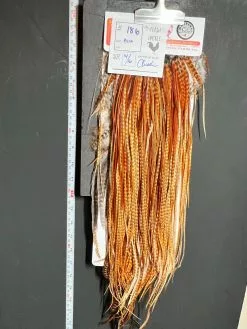 Flash Sale Hackle 186 - Whiting Saddle Silver - Barred Dark Ginger (size 14-16)