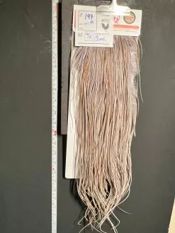 Flash Sale Hackle 197 - Whiting Midge Saddle Bronze - Tural Dun (size 16-18)