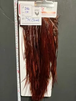 Flash Sale Hackle 246 - Whiting Saddle Pro - Coachman Brown (size 16-18)