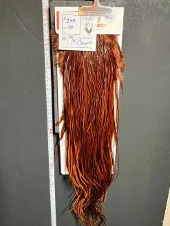 Flash Sale Hackle 247 - Whiting Saddle Pro - Coachman Brown (size 16-18)