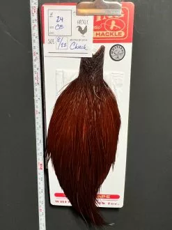 Flash Sale Hackle 24 - Whiting Cape Silver - Coachman Brown (sizes 8-22)