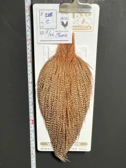 Flash Sale Hackle 288 - Heritage Cape - Cree (sizes 8-22)