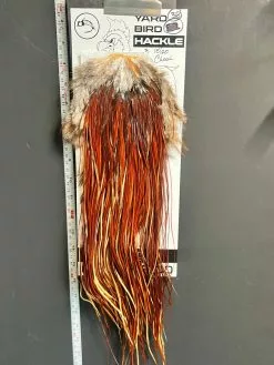 Flash Sale Hackle 38 - Yard Bird Saddle - Brown (size 18-20)