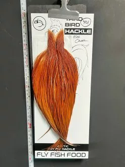 Flash Sale Hackle 401 - Yard Bird Cape - Brown (sizes 8-22)