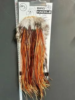 Flash Sale Hackle 40 - Yard Bird Saddle - Brown (size 16-18)