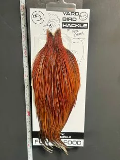 Flash Sale Hackle 413 - Yard Bird Cape - Furce (sizes 8-22)