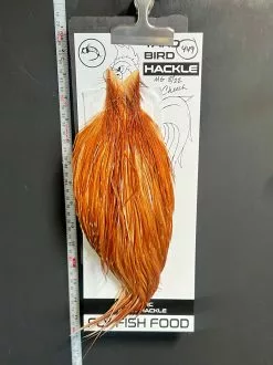 Flash Sale Hackle 449 - Yard Bird Cape - Medium Ginger (sizes 8-22)