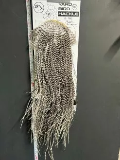 Flash Sale Hackle 44 - Yard Bird Saddle - Grizzly (size 16-18)