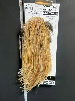 Flash Sale Hackle 484 - Yard Bird Saddle - Golden Badger (size 18-20)