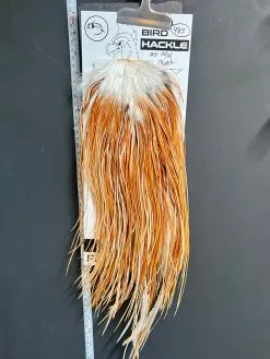 Flash Sale Hackle 485 - Yard Bird Saddle - Medium Ginger (size 16-18)