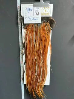 Flash Sale Hackle 555 - Heritage Saddle - Furce (size 16-18)