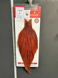 Flash Sale Hackle 602 - Whiting Cape Bronze - Brown (sizes 8-22)
