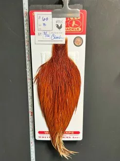 Flash Sale Hackle 60 - Whiting Cape Bronze - Brown (sizes 8-22)