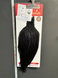 Flash Sale Hackle 6 - Whiting Cape Bronze - Black (sizes 8-22)