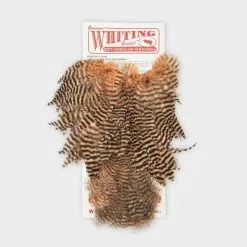 Whiting Rooster Soft Hackle With Chickabou