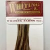 Whiting 100 Pack Dry Fly Hackle - Brown - 20 -fishing Sales 2023 Brown c05f74af f21e 4d03 a684 2c7d4aa4e388