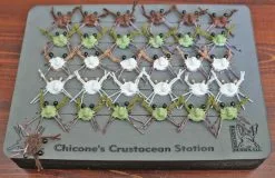 Hareline Chicone's Crustacean Station