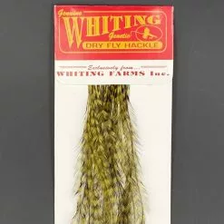 Whiting 100 Pack Dry Fly Hackle - Grizzly Dyed Dark Olive - 14