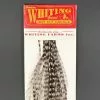Whiting 100 Pack Dry Fly Hackle - Grizzly Dyed Medium Dun - 10 -fishing Sales 2023 GrizzlyDun