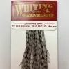 Whiting 100 Pack Dry Fly Hackle - Grizzly Dyed Medium Dun - 14 -fishing Sales 2023 Grizzly Dyed Medium Dun fb73bc4b f95a 4f04 a259 b59bb3d4c63a