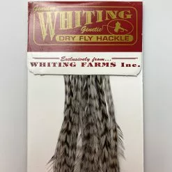 Whiting 100 Pack Dry Fly Hackle - Grizzly Dyed Medium Dun - 14