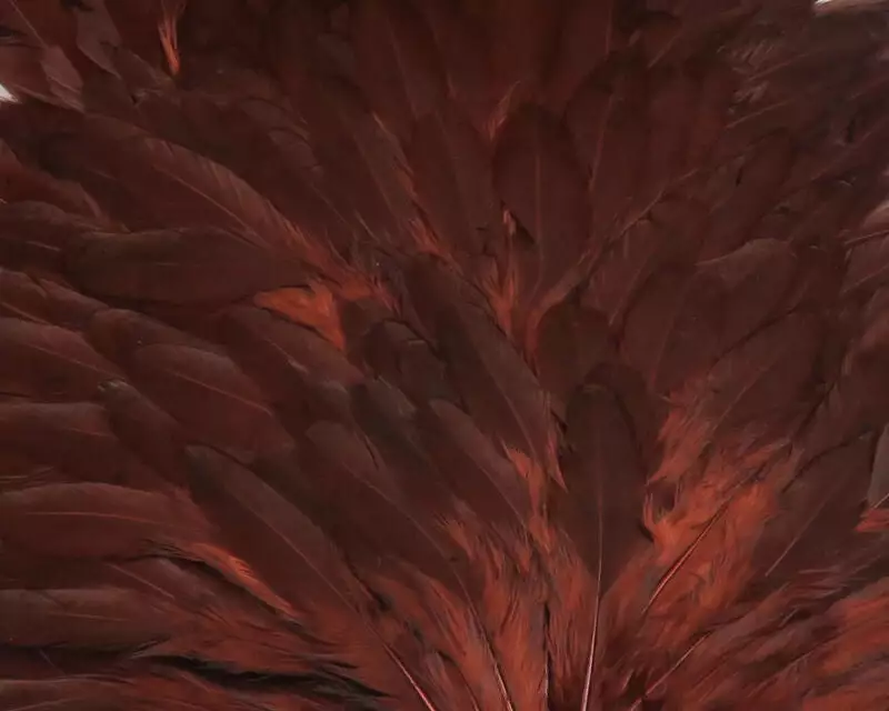 Hareline - Hen Saddle 5 Hareline - Hen Saddle - Image 3