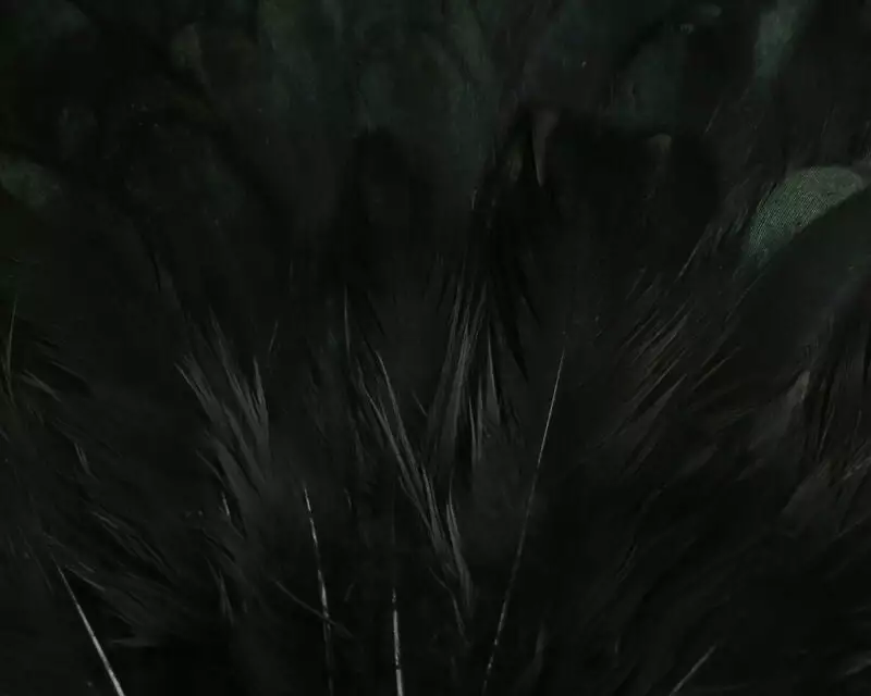 Hareline India Hen Back 4 Hareline India Hen Back - Image 2