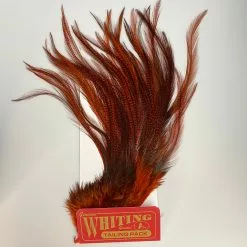 Whiting Coq De Leon Euro Nymph Tailing Pack -fishing Sales 2023 IMG 6093
