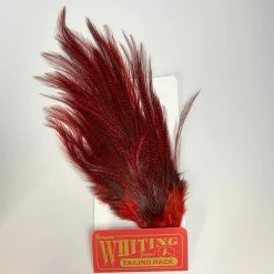 Whiting Coq De Leon Euro Nymph Tailing Pack -fishing Sales 2023 IMG 6095