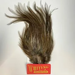 Whiting Coq De Leon Euro Nymph Tailing Pack -fishing Sales 2023 IMG 6096