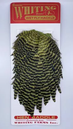 Whiting Red Label Hen Saddle -fishing Sales 2023 IMG 9182