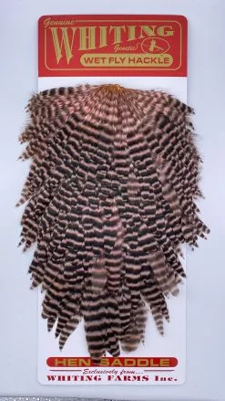 Whiting Red Label Hen Saddle -fishing Sales 2023 IMG 9184
