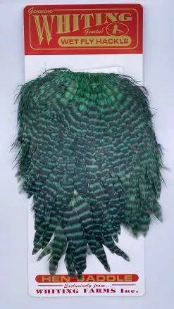 Whiting Red Label Hen Saddle -fishing Sales 2023 IMG 9185
