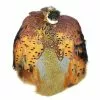 Hareline Ringneck Pheasant Skin