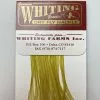 Whiting 100 Pack Dry Fly Hackle - Pale Morning Dun - 18 -fishing Sales 2023 Pale Morning Dun f6acd9c3 d1df 437f 9571 750951ef9542