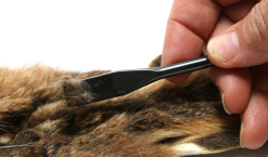 Hareline - Premium Ceramic Dubbing Rake -fishing Sales 2023 rake2